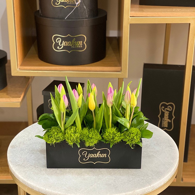 20 tulipanes en caja mini yaakun tulipanes