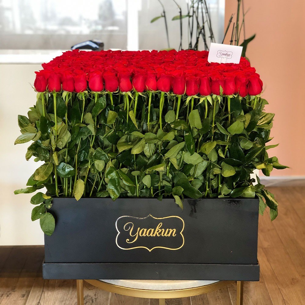 300 rosas en caja grande maxi yaakun jardín rojo
