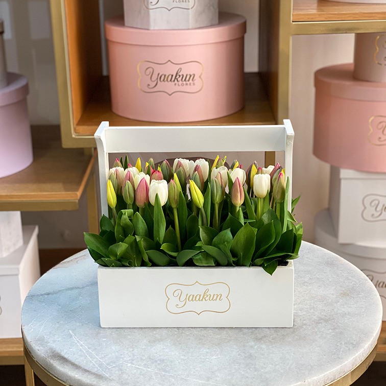 50 tulipanes en jardinera blanca yaakun