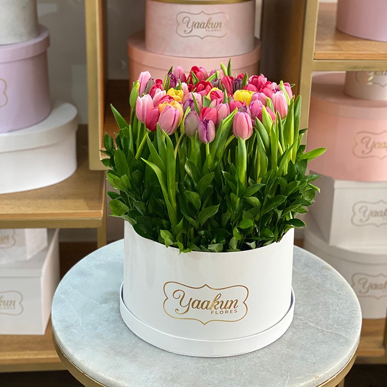 70 tulipanes en caja redonda yaakun