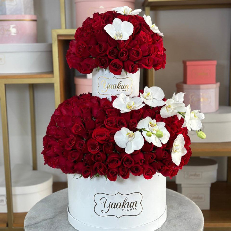 Arreglo doble piso en cajas circular blancas con 350 rosas rojas y orquídeas blancas