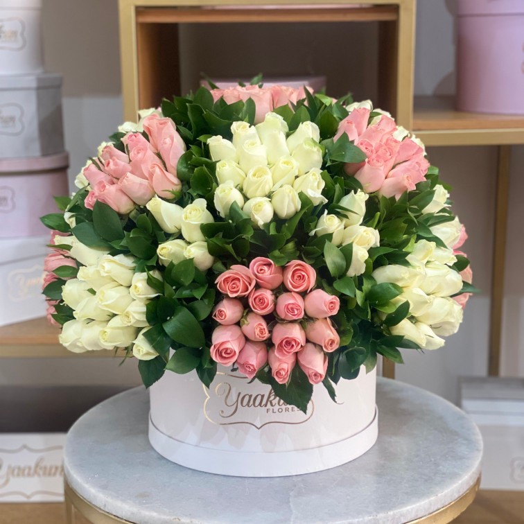 Caja circular blanca con 250 rosas hermosas y blancas con toques de ruscus