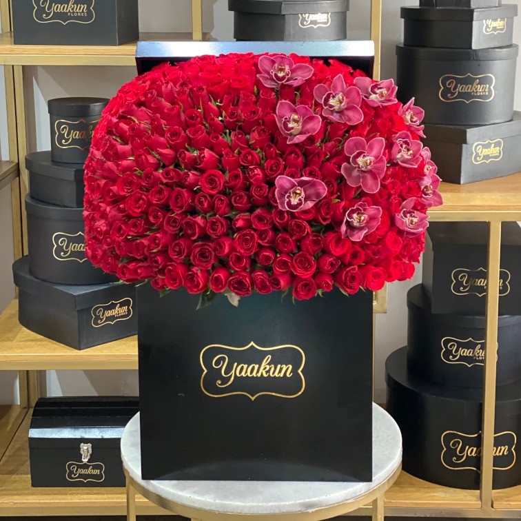 Maxi caja cuadrada negra con 350 rosas y orquídeas cimbidyum