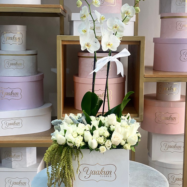 12 rosas blancas y orquídea blanca s en caja blanca yaakun | Yaakun Flores