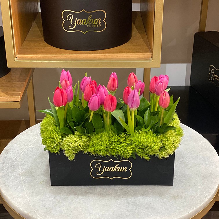 20 tulipanes en caja mini yaakun tulipán rojo & rosa | Yaakun Flores