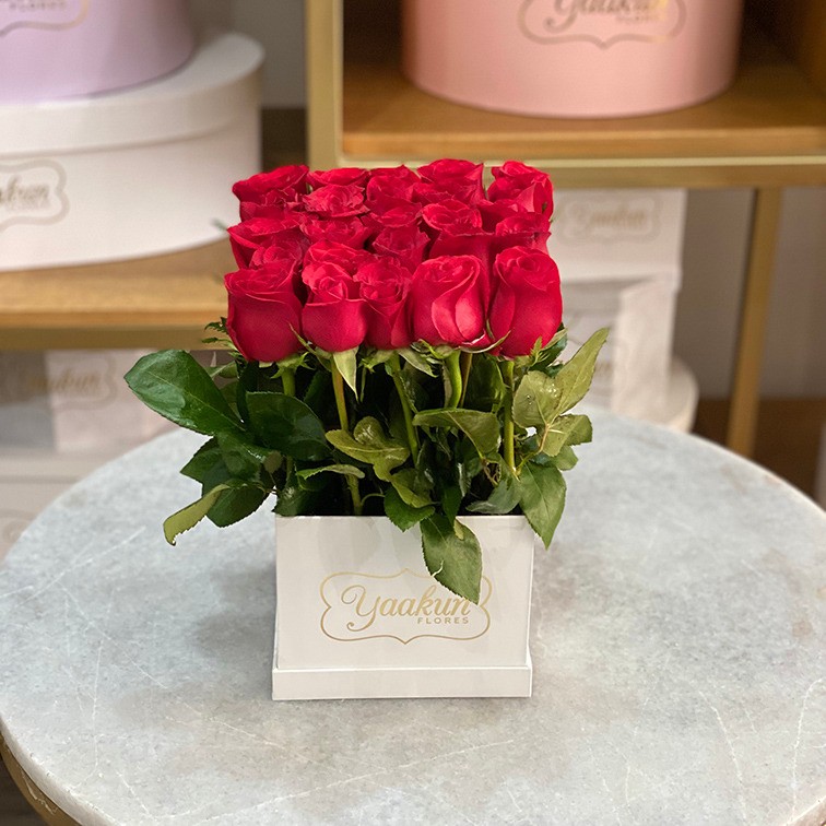 25 rosas rojas altas en caja blanca yaakun jardín | Yaakun Flores