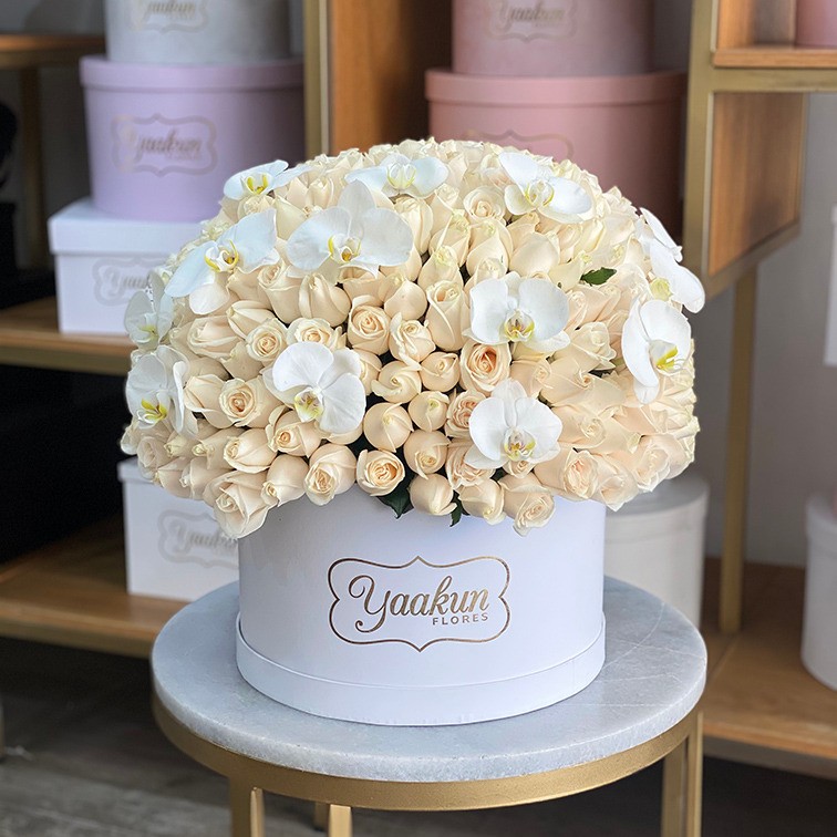 250 rosas blancas & 12 orquídeas en caja circular blanca dulce anhelo |  Yaakun Flores
