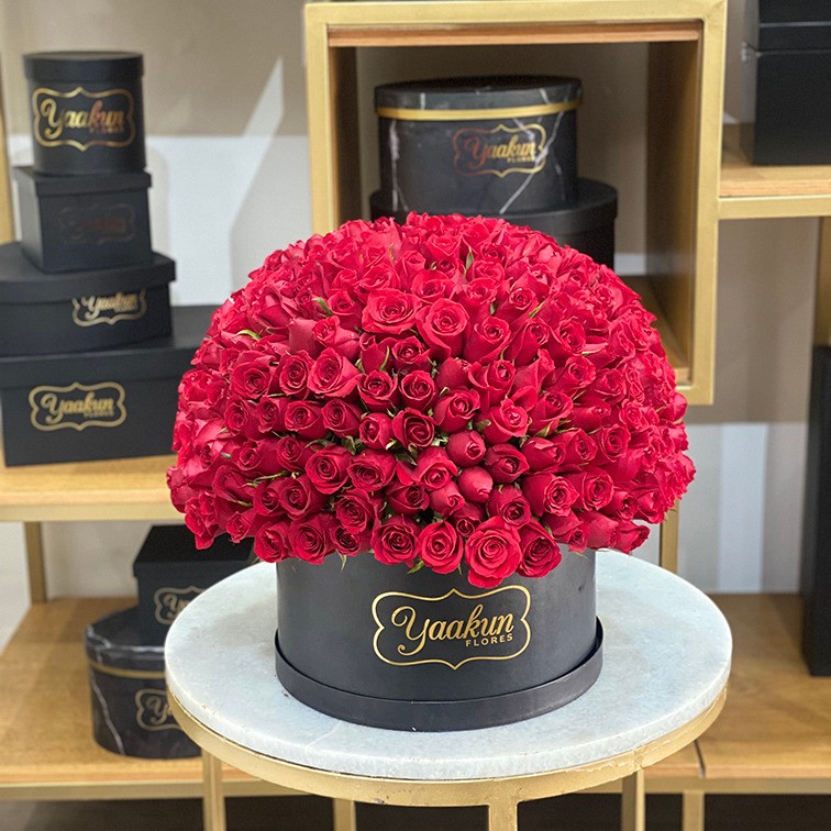 300 rosas rojas en caja redonda esfera caja negra | Yaakun Flores