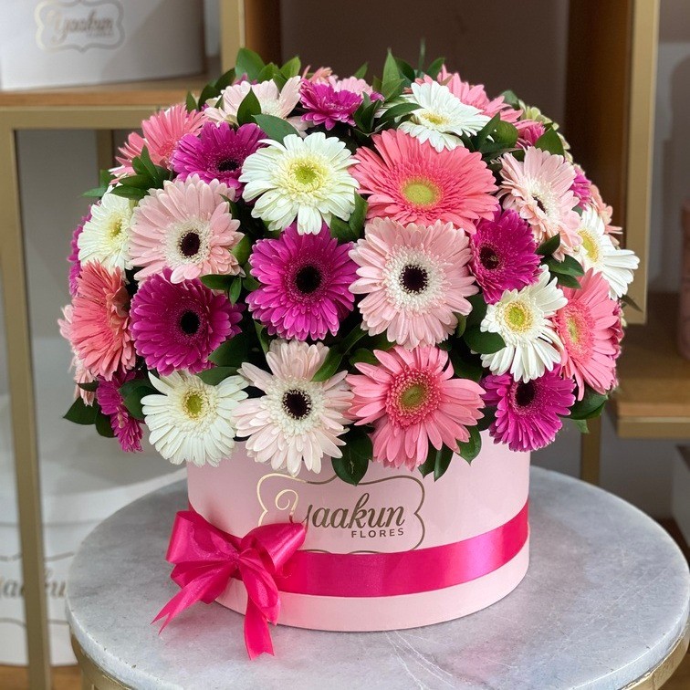 Caja rosita  circular con 60 gerberas y ruscus con moño rosa