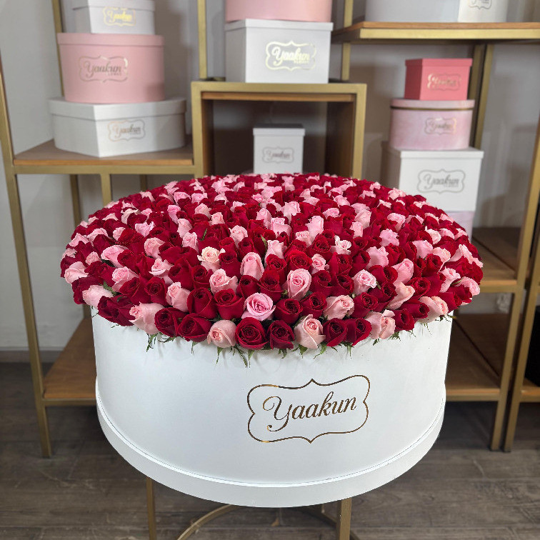 Maxi caja circular blanca con 600 rosas rojos y rositas