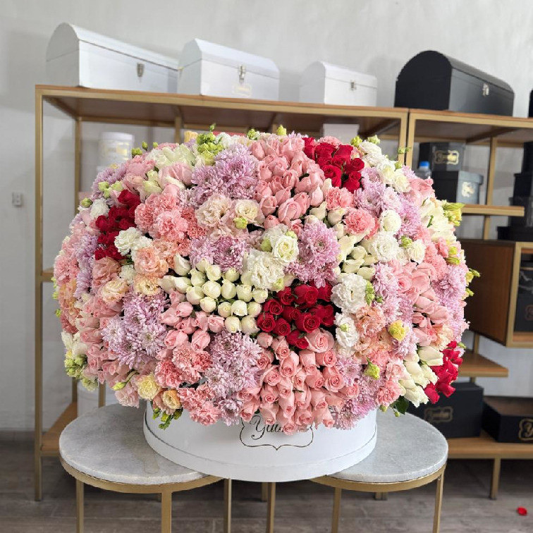 Maxi caja circular blanca con 800 rosas, lisianthus y roxanas y clavel