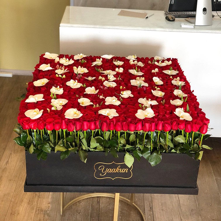 Maxi caja cuadrada negra con 800 rosas rojas, orquídea phalenosis y 100  tulipanes | Yaakun Flores