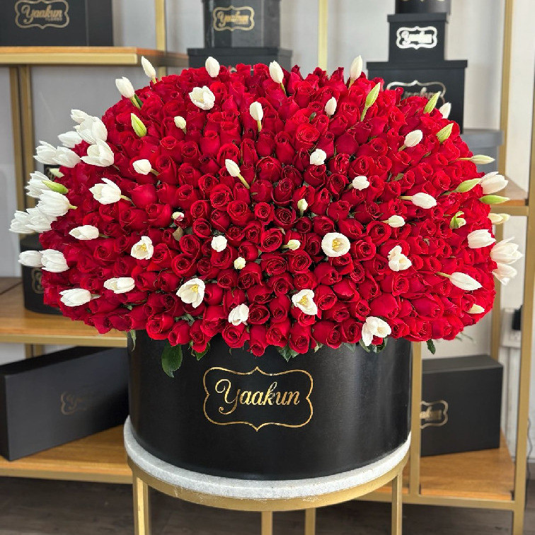Maxi caja negra circular con 500 rosas y 70 tulipanes blancos