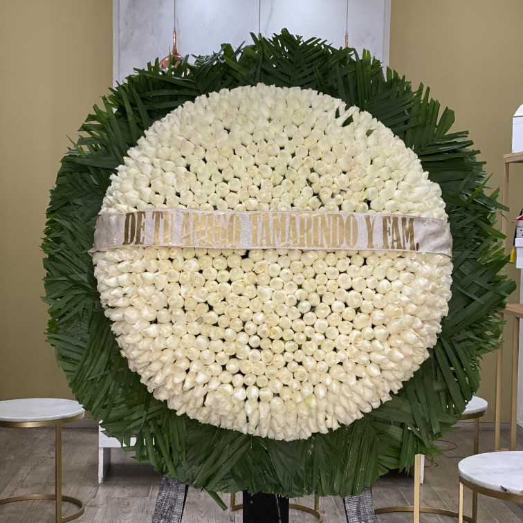 Maxi corona de 1000 rosas blancas con contorno de camedor