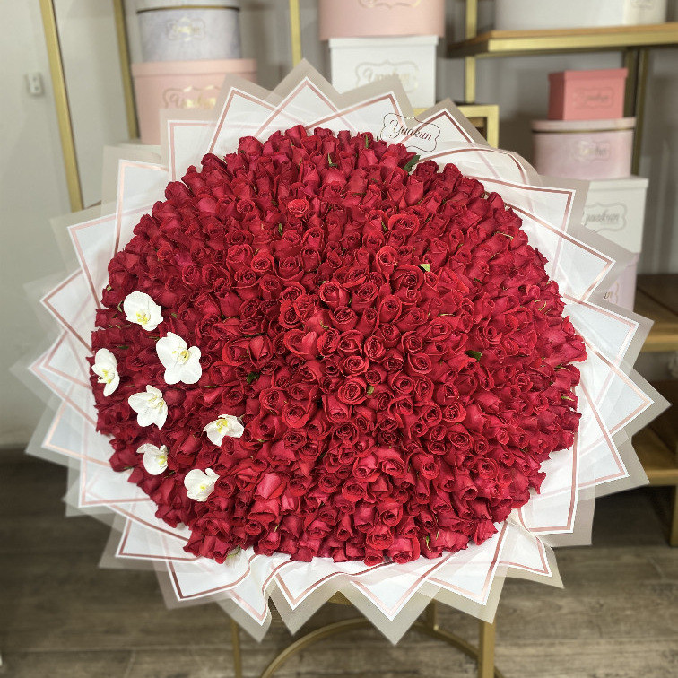 RAMO DE 600 ROSAS ROJAS CON 7 ORQUÍDEAS BLANCAS