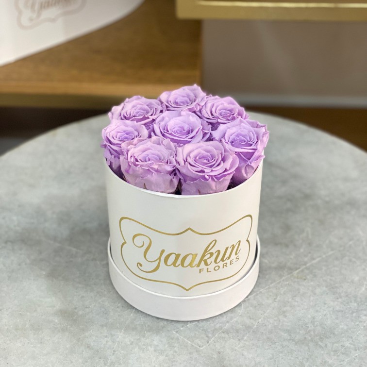 Rosas eternas en caja circular blanca con rosas lilas