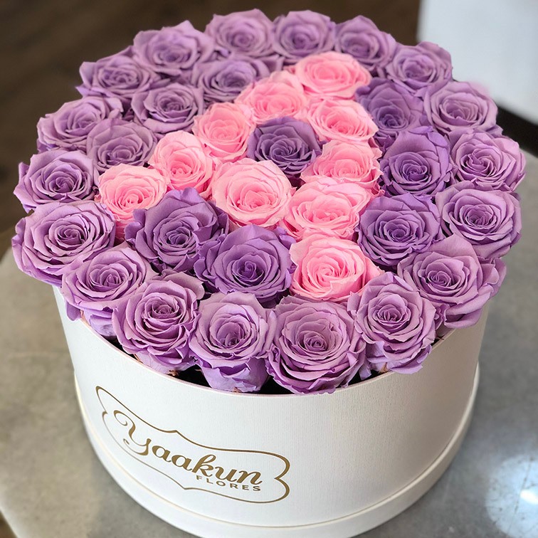 Rosas eternas en caja circular blanca grande lila & pink | Yaakun Flores
