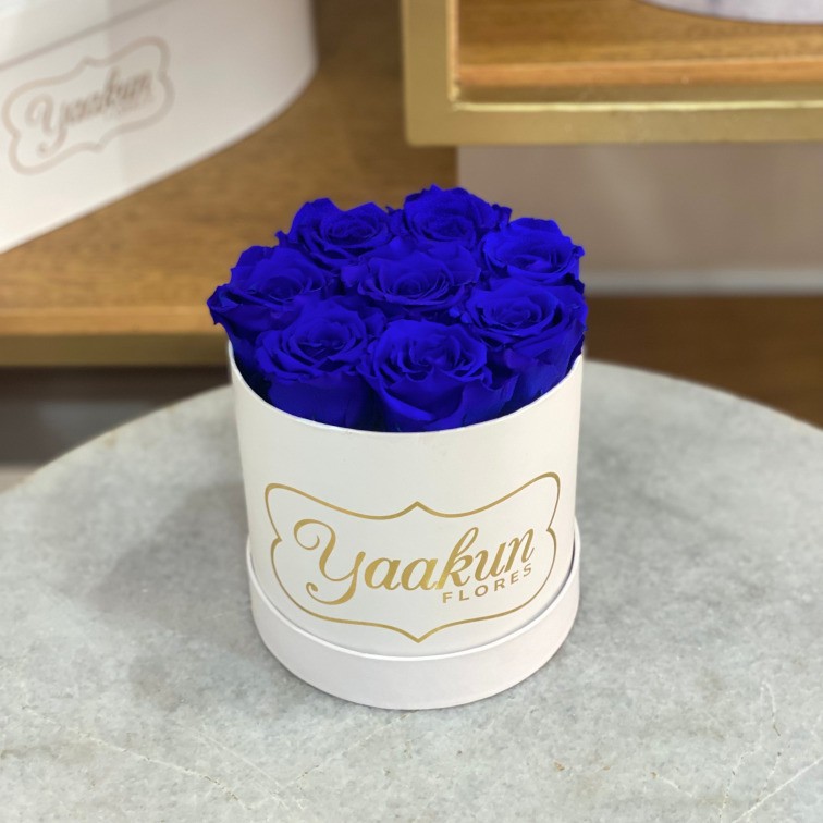 Rosas eternas en caja circular blanca mini con rosas azules
