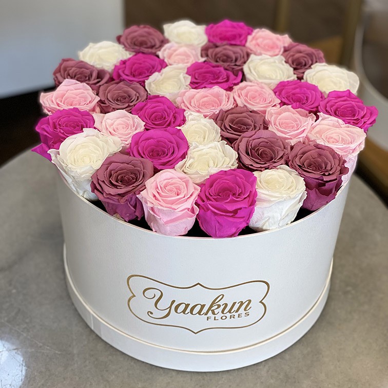 Rosas preservadas que duran un año en una caja redonda Caja de rosas del  día de San Valentín Flores para siempre Rosas infinitas Flor eterna -   México