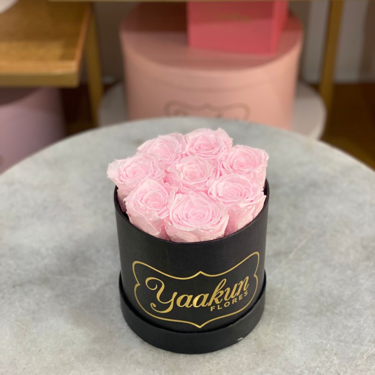 Rosas eternas en caja circular negra mini con rosas rosita