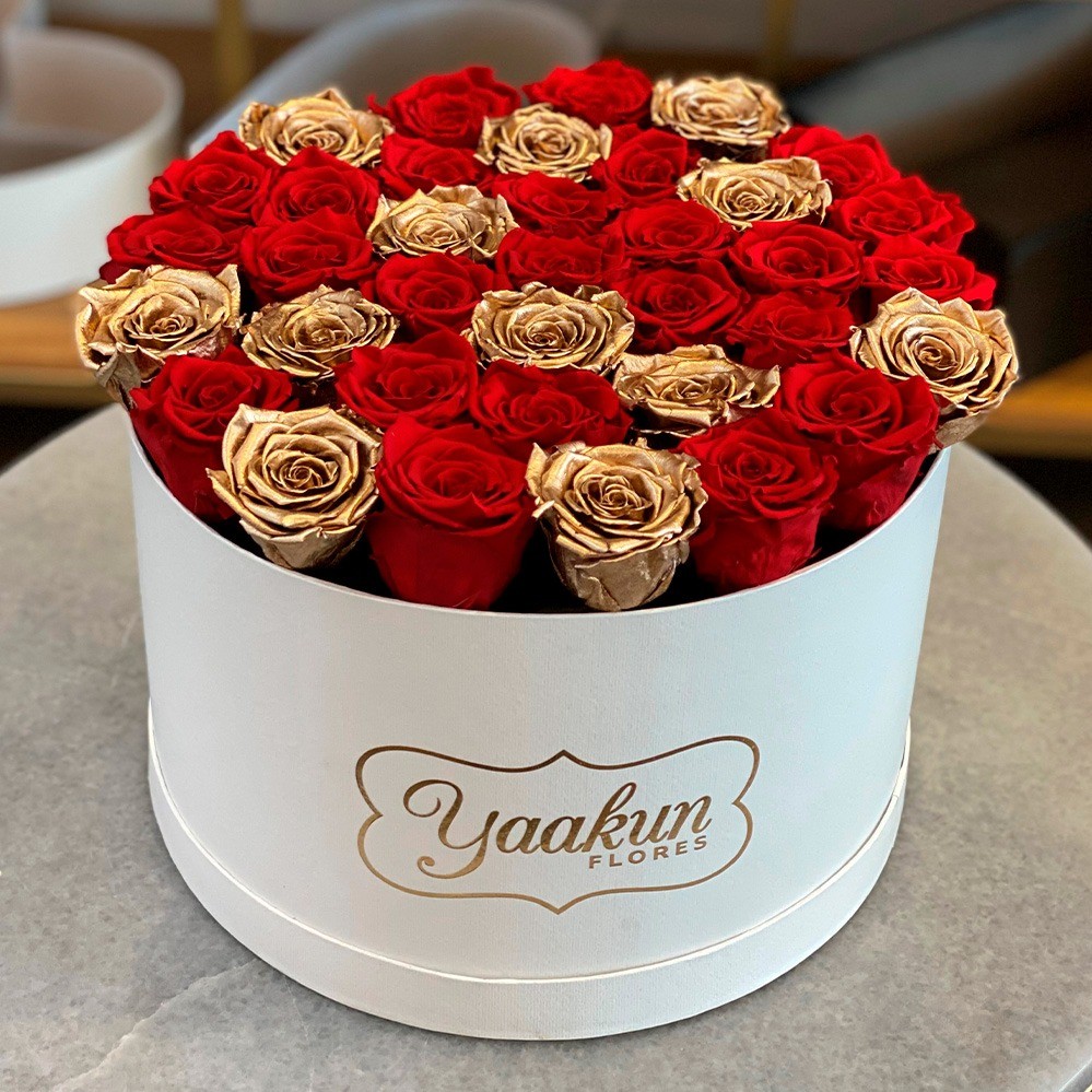 Rosas eternas en caja circular red and gold